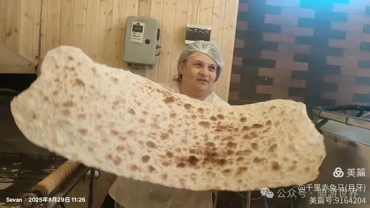 A Return Customer After Eating Fish; Cycling from 11°C to 38°C to Yerevan (Days 19-20 of Cycling in the Caucasus + Turkey)