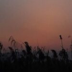 How to Use Multiple High-Resolution ADCs to Enhance the Dynamic Range of Measurement Systems? (YUNSWJ Simulation Version)