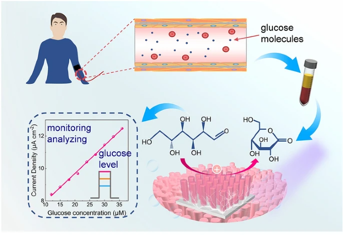 Novel Photoelectrochemical Photodetector Based on Semiconductor p-n Junction for Biosensing Applications