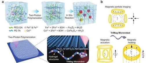 3D Printed Microrobots: Navigating, Temperature Sensing, and Treating Diseases Inside the Body, Advancing Precision Medicine