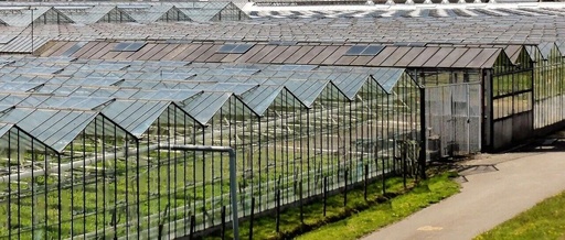 Linhe Climate Fully Automatic DAC Carbon Fertilizer Machine: An Important Path for the Green Transformation of Facility Agriculture