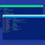 Linux Master Secrets: Top 10 High-Frequency Applications of the find Command to Double Your File Management Efficiency