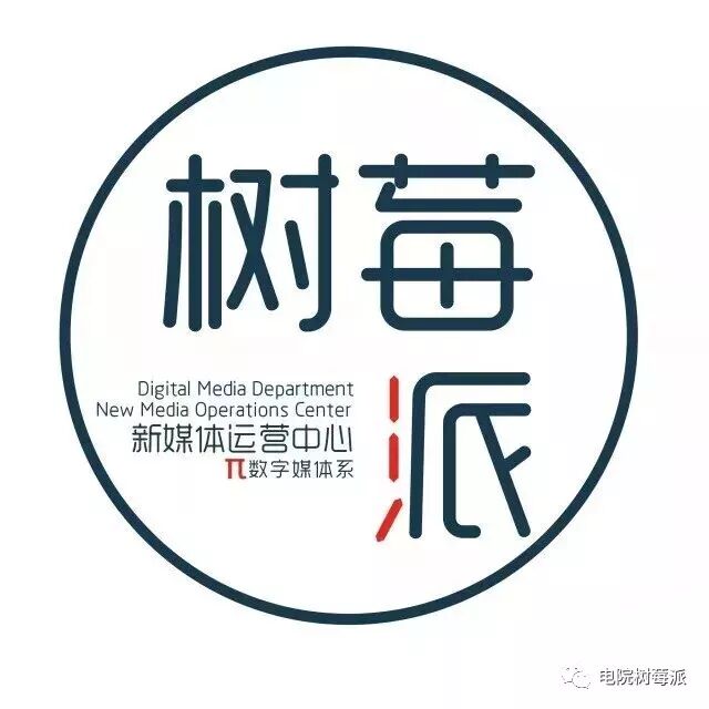 User Manual for the Shandong Youth 'Internet+' Service and Big Data Platform
