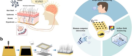 Bionic 'Electronic Hair': High-Sensitivity Flexible Airflow Sensor for Large-Area Sensing