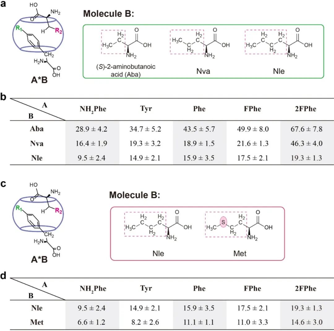 Single-Molecule Level Elucidation of CH-π Interactions