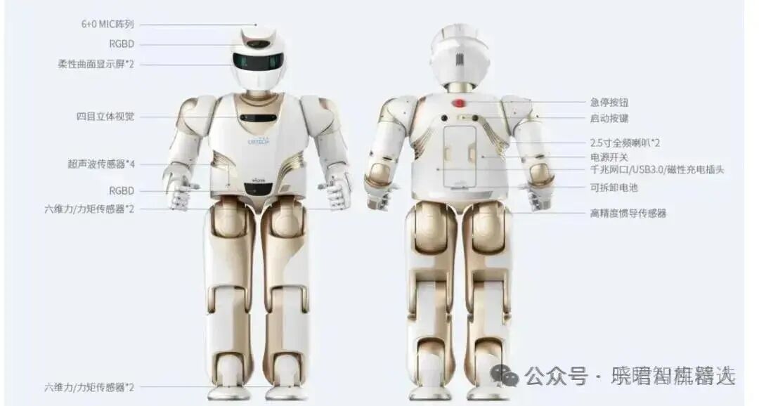 Comprehensive Overview of the Humanoid Robot Industry Chain
