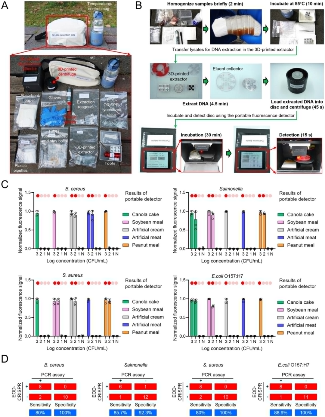 3D Printed Chips Empower CRISPR for Rapid On-Site Detection of Foodborne Bacteria