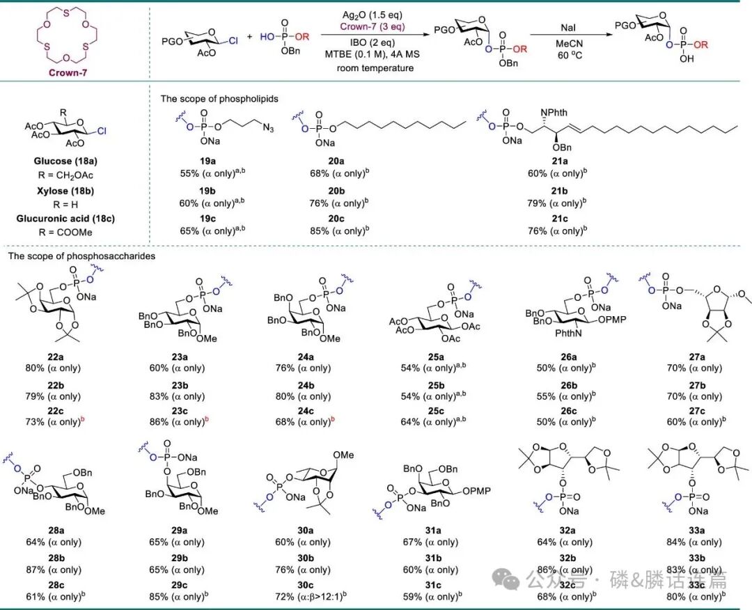 Thiocrown Ether: Reversing SN1 to SN2 Pathways in 1,2-cis Phosphoryl Glycosylation