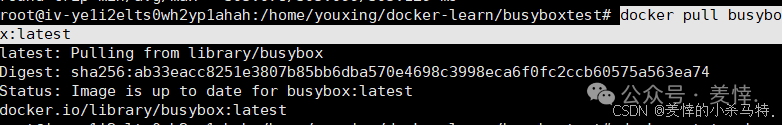 Mastering Docker End-to-End: Container Management, Nginx Homepage Customization, BusyBox Tool Practice, and Tencent Cloud Repository Deployment