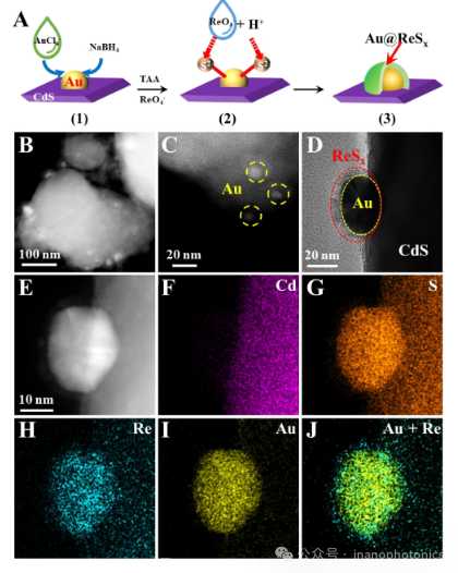 Plasmon-Induced Ultrafast Interfacial Charge Transfer for Enhanced Photocatalytic Hydrogen Evolution