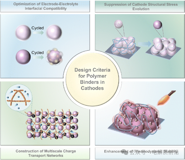 High Energy Density Lithium Batteries: Insights from Professor Li Zhongtao of China Petroleum University (East China)