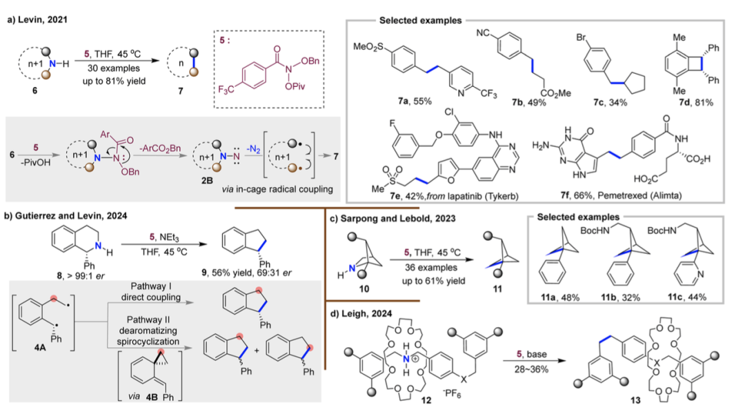 Review by Professor Hongjian Lu's Team at Nanjing University | Recent Advances in Skeleton Editing Based on Nitrogen Atom Manipulation