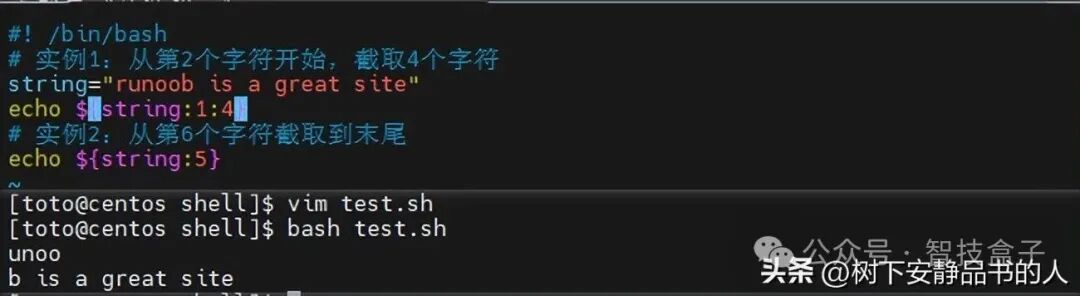 Unlocking Linux: Shell Programming Variables
