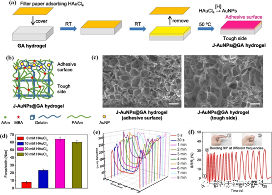 Design Strategies and Applications of Wearable Piezoresistive Strain Sensors with Dimensionality-Based Conductive Network Structures