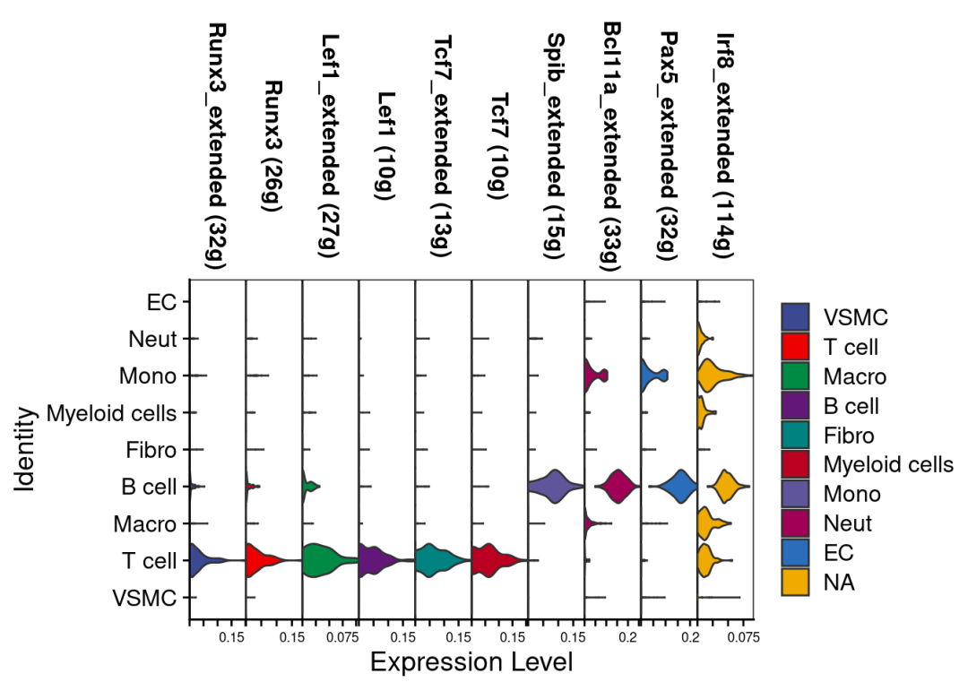 The R+Python Combination May Be the Best Way to Analyze SCENIC