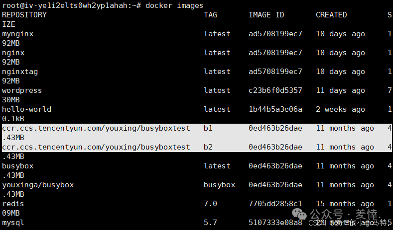 Mastering Docker End-to-End: Container Management, Nginx Homepage Customization, BusyBox Tool Practice, and Tencent Cloud Repository Deployment