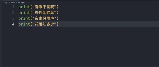 Python Day 2: Escape Characters