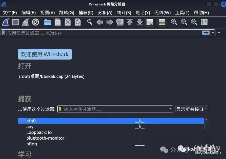 20 Common Network Commands in Kali Linux