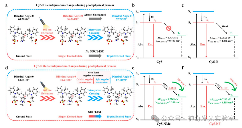Controlled Electron Transfer: Implementing a Reservoir-Pump Integrated Strategy to Develop a Type I Photosensitizer for Evoking Long-Term Tumor Immunological Memory