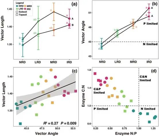 Linking Soil Ecological Stoichiometry of Nutrients and Microbial Enzyme Activity to Bulk and Aggregate-Associated Organic Carbon in Karst Rocky Desertification