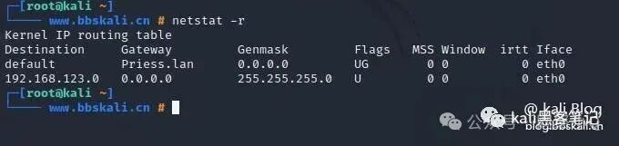 20 Common Network Commands in Kali Linux