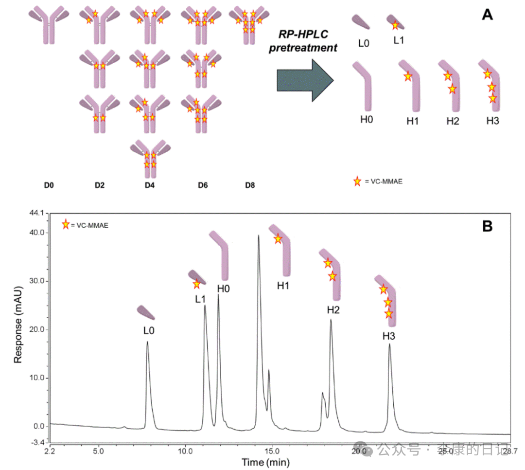 Summary and Reflections on the Application of Chemical Industry Technology 3 - ADC/XDC Conjugation (Pharmaceutical Industry)