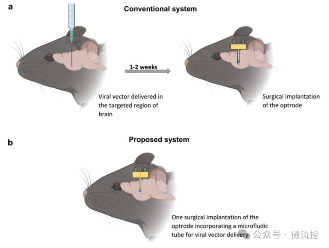 3D Printed Integrated Microfluidic Optogenetic Neural Probes: Combining Optical Stimulation with Drug/Virus Delivery Functions