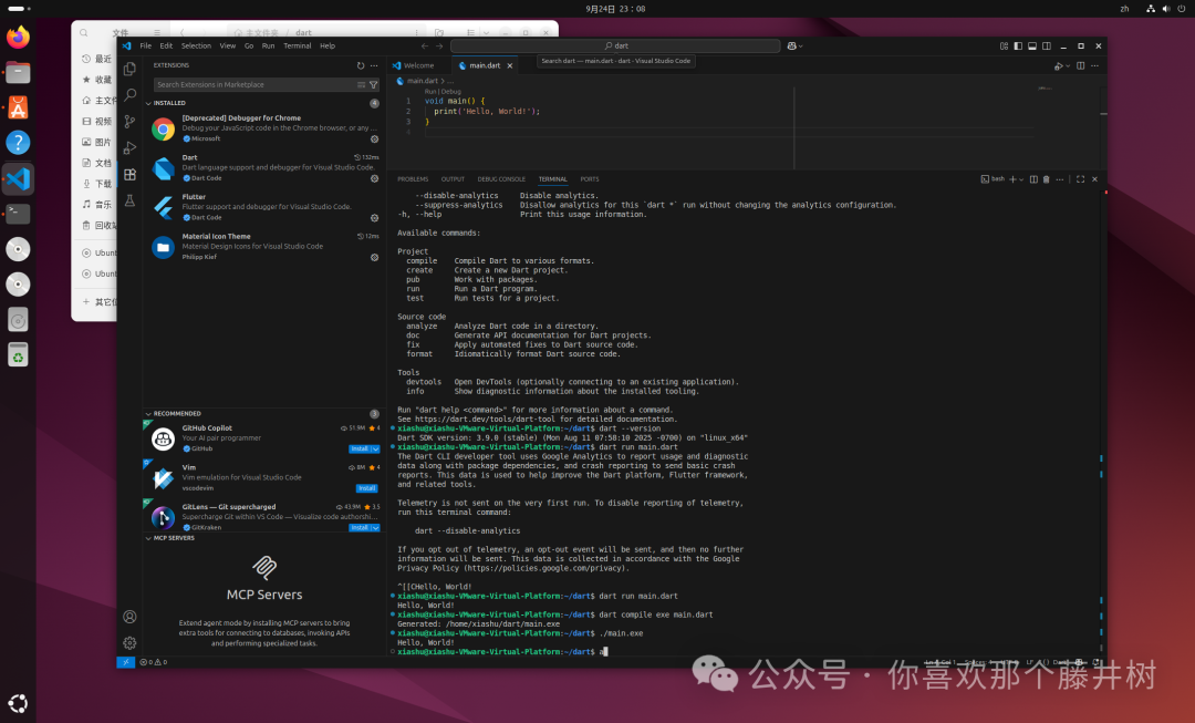 Linux Learning Notes (2): Dart