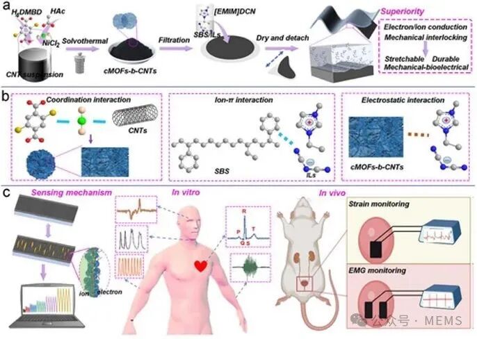 Bimodal Skin Sensor for Biomechanical and Electrical Stimulation: A Multifunctional Solution