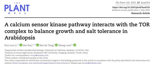 Literature Sharing | Interaction of Calcium Sensor Kinase Pathway with TOR Complex Balances Growth and Salt Tolerance in Arabidopsis