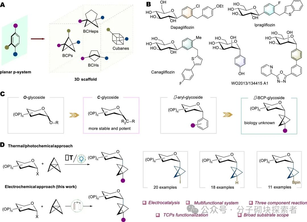 Unlocking Chemical Space: Electrochemically Driven Synthesis of Glycosyl Bicyclo[1.1.1]pentane Frameworks