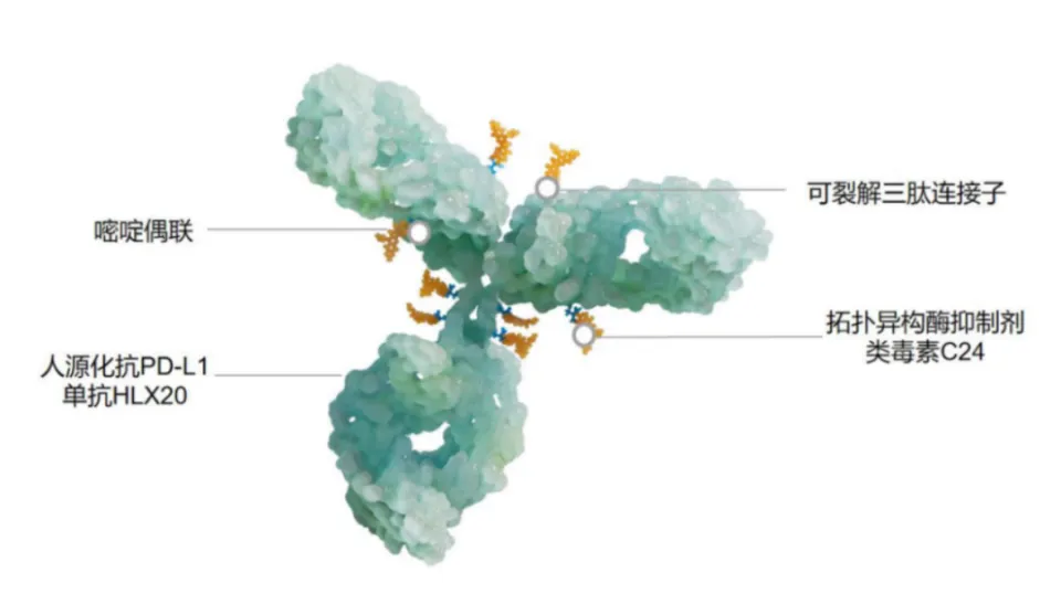 Strange ADC Targets, Complex MoA, and Exhausted Bioassays