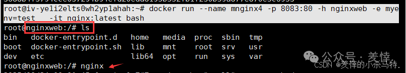 Mastering Docker End-to-End: Container Management, Nginx Homepage Customization, BusyBox Tool Practice, and Tencent Cloud Repository Deployment