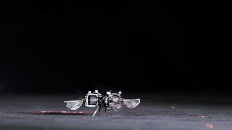 MIT Develops Bee-like Robot that Flaps Wings 400 Times Per Second, Potentially for Mars Pollination