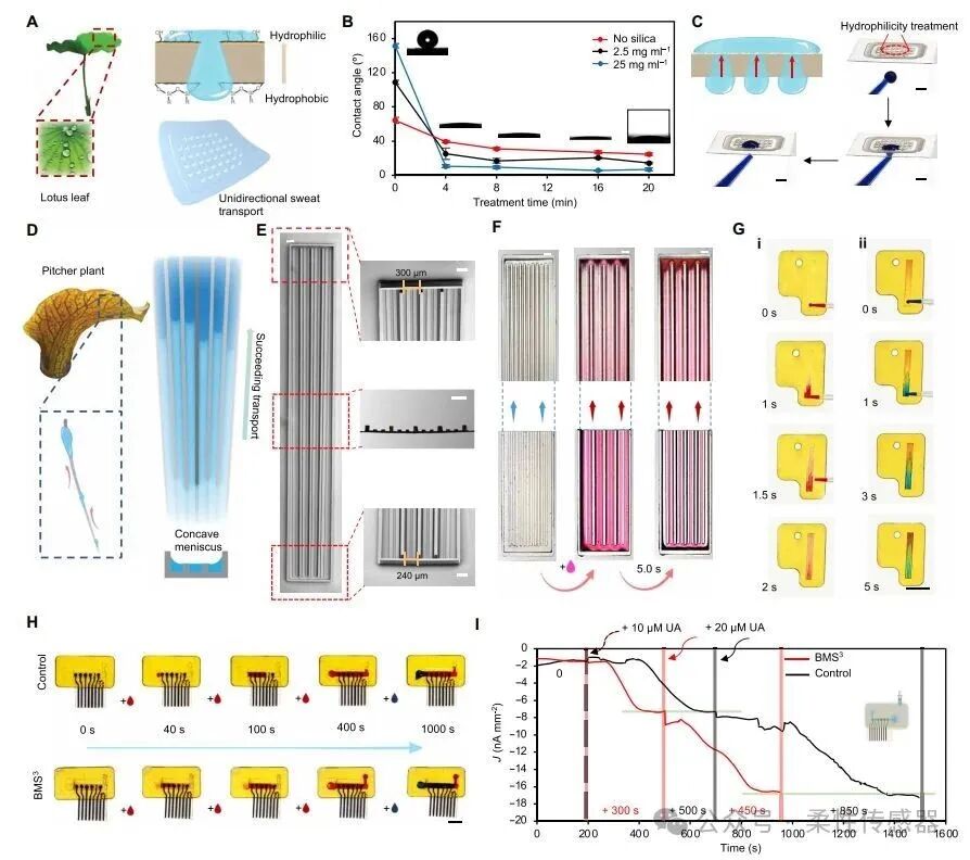 Wearable Sweat Sensor System for Continuous Metabolic Monitoring