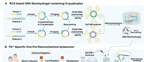 Exosome Aptamer Sensors for Staging Breast Cancer