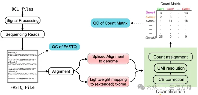 Best Practices for Python Single-Cell Learning Process