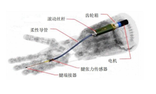 Tendon Materials: Key Materials for Humanoid Robot Actuation - A Comprehensive Analysis