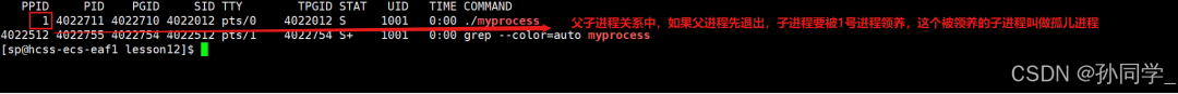 Linux Process States (Zombie Processes, Orphan Processes), Priority and Scheduling Mechanisms