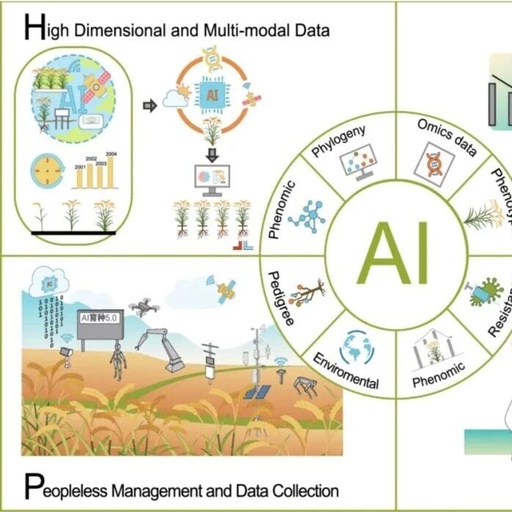 Academician Qian Qian: The 'Breeding 5.0' Framework Driven by Artificial Intelligence and Robotics Technology
