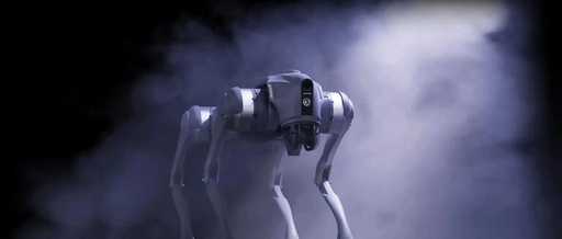 Reflections in Paris: The Robots at the Science Museum and My Unspoken Thoughts