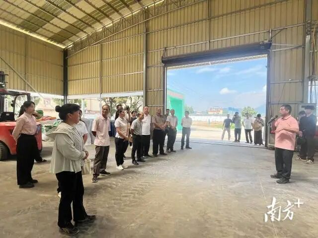 New Farmer Yu Yiyao: Injecting 'Smart Chips' into Modern Agriculture in Fengkai