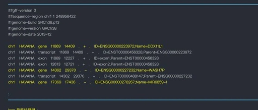 Essential Linux Skills for Bioinformatics Analysis 4: Viewing File Contents