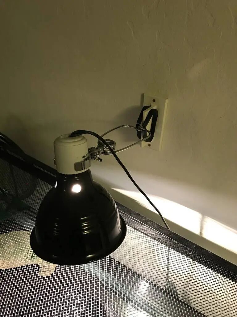 Aquarium Lighting II: Say Goodbye to Expensive Aquarium Lights, 3D Printing Opens a New Era of Cost-Effective Aquarium Illumination
