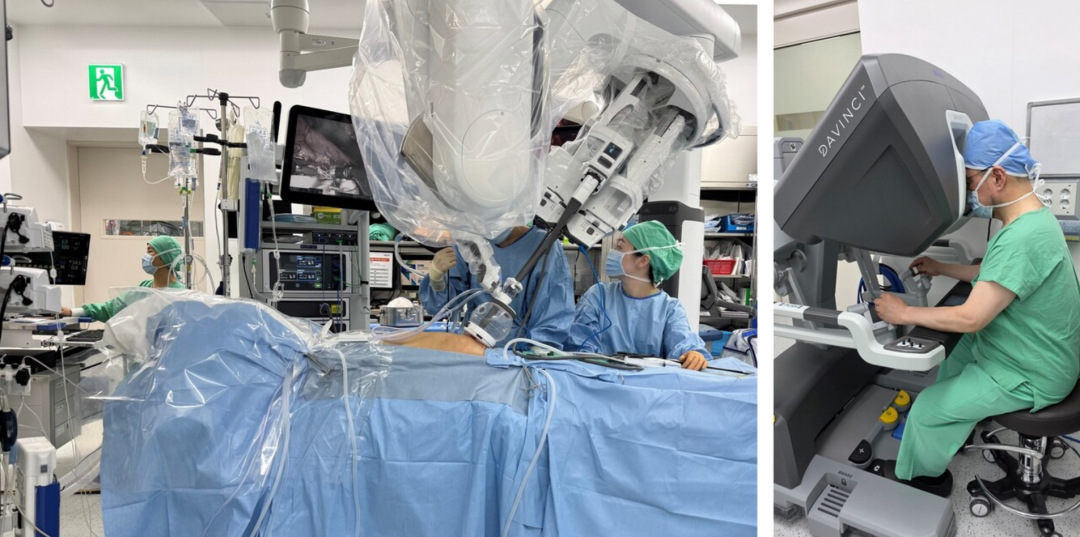 News Update: Evri Trials Robotic Dogs for Delivery; NVIDIA's First Humanoid Robot to Debut in November; Harvard Team Invents Soft Wearable Exoskeleton Robot