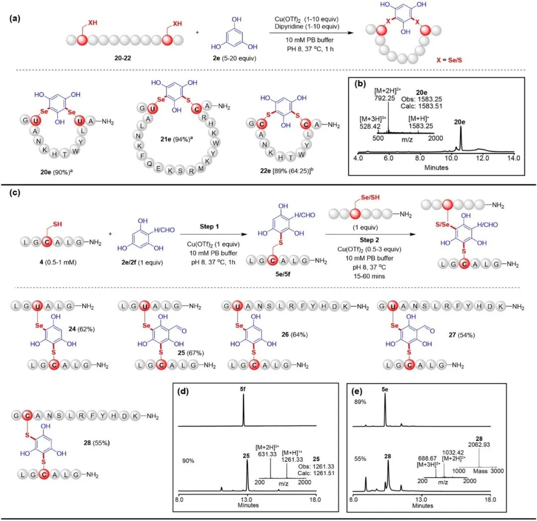 Late-Stage Aromatic C–H Bond Functionalization for Cysteine/Selenocysteine Bioconjugation