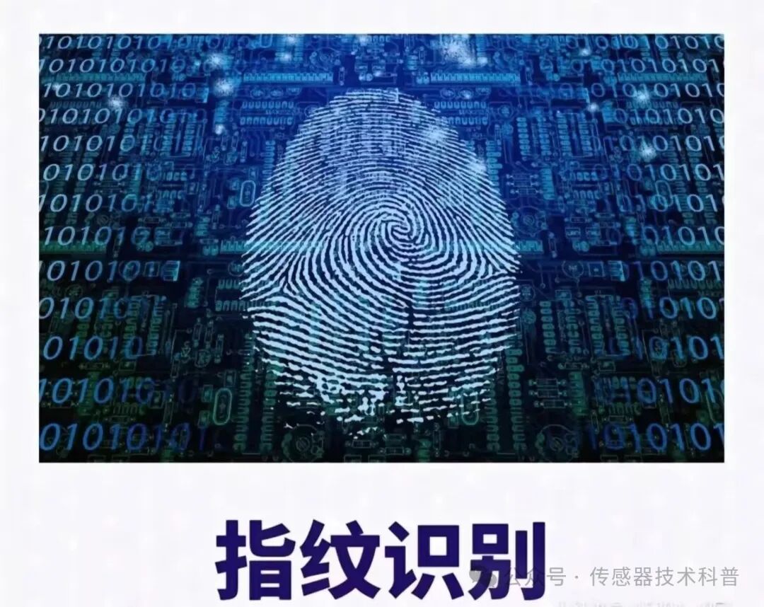 The Extension of Human Perception - Sensors