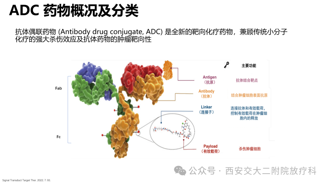 Advancements in the Application of ADC Drugs in Gynecological Malignancies
