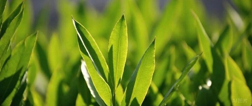 Ye Rongtian: What are Semiconductors, Chips, PCBs, Packaging, and Leading Enterprises!