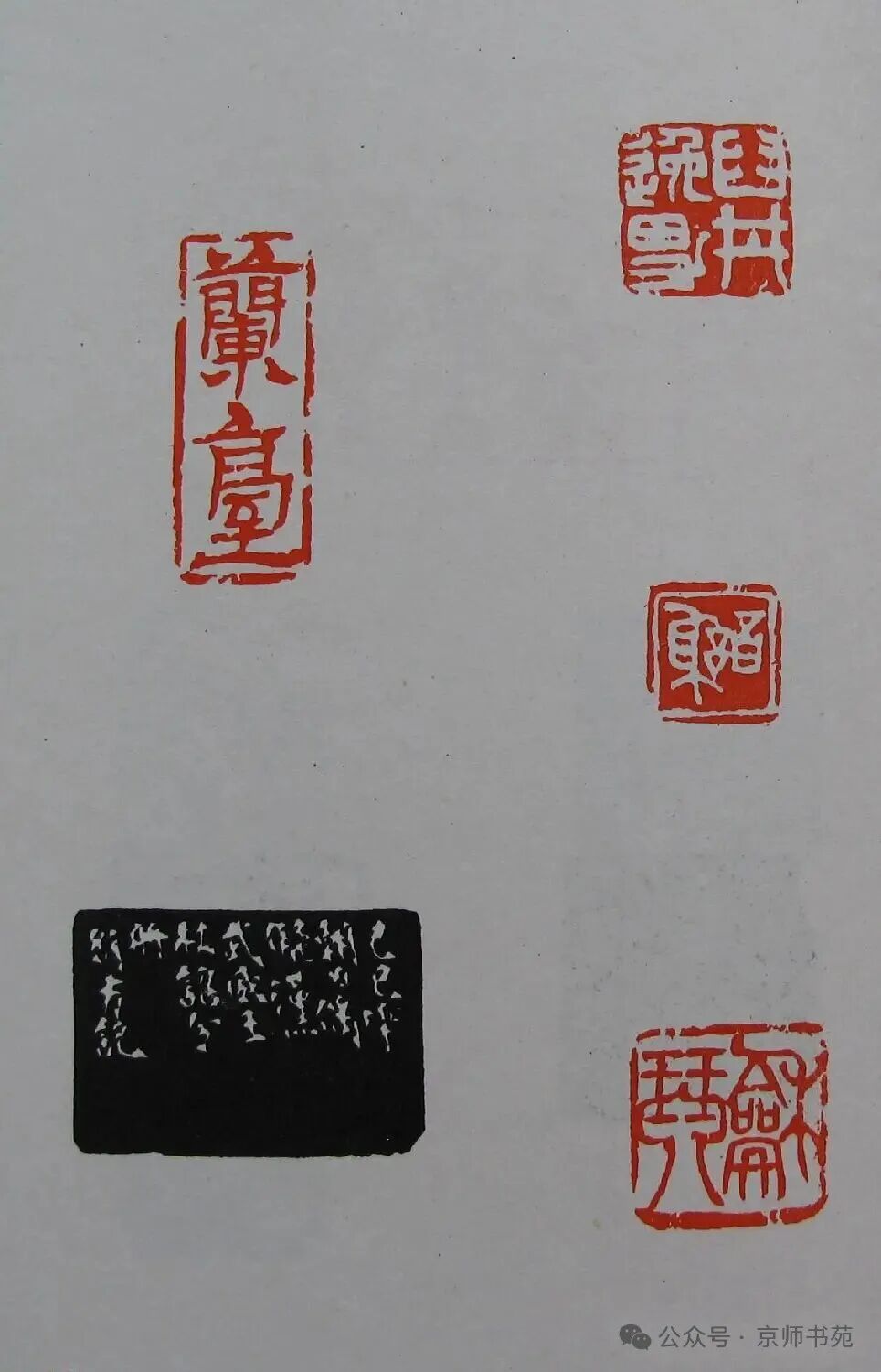 Compilation of Seal Carving: Part 93